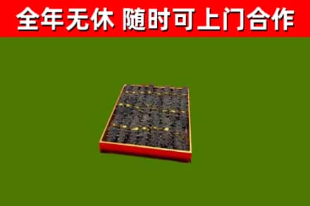 尖扎回收海参